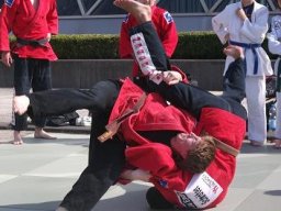 Bilder aus 2011